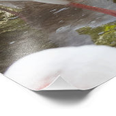 Tropisch rosa Flamingo Naturbilder Fotodruck (Ecke)