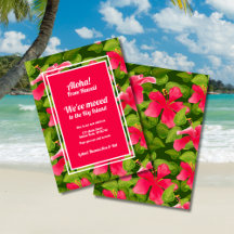 Tropisch rosa Hawaiianischer Hibiskus Aloha Wir ha