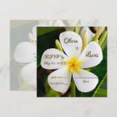 Tropisch-weiße Plumeria - Neubeginn - UAWG Einladung (Vorne/Hinten)