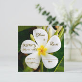 Tropisch-weiße Plumeria - Neubeginn - UAWG Einladung (Stehend Vorderseite)