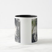 Tropisch-zyklischer Favio nähert sich Mosambik Tasse (Zentrum)