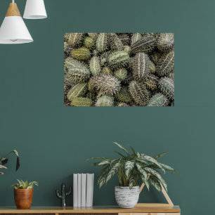 Tropische afrikanische Wildcucumber-Pflanze Poster