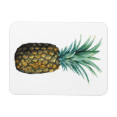 Tropische Ananas Magnet (Horizontal)