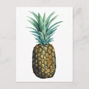 Tropische Ananas Postkarte