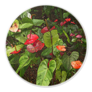 "TROPISCHE ANTHURIUM-PFLANZE" KERAMIK TÜR/PULL CER KERAMIKKNAUF