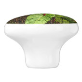 "TROPISCHE ANTHURIUM-PFLANZE" KERAMIK TÜR/PULL CER KERAMIKKNAUF (Seitenansicht)