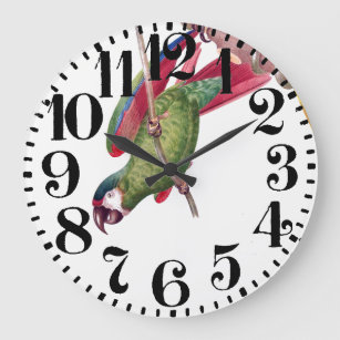 Tropische Ara-Papagei-Vogel-Mauer-Uhr Große Wanduhr