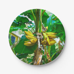 Tropische Bananen-Palme St Augustine Florida Pappteller