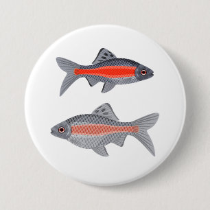 Tropische Barben Fische Rot und Grau Exotische Was Button