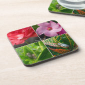 Tropische Baumfrosche in Blume und Blätter Getränkeuntersetzer (Linke Seite)