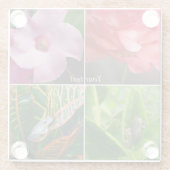 Tropische Baumfrosche in Blume und Blätter Glasuntersetzer (Rückseite)