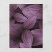 Tropische Blätter 10 Postkarte (Vorderseite)