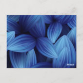 Tropische Blätter 12 Postkarte (Rückseite)