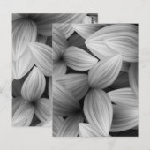 Tropische Blätter 13 Postkarte (Vorne/Hinten)