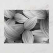 Tropische Blätter 13 Postkarte (Rückseite)