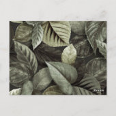 Tropische Blätter 5 Postkarte (Rückseite)