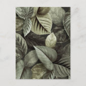Tropische Blätter 5 Postkarte (Vorderseite)