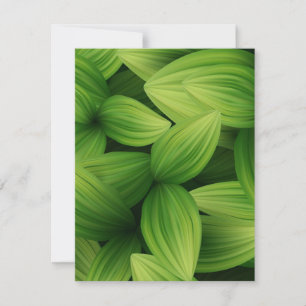 Tropische Blätter 9 Mitteilungskarte