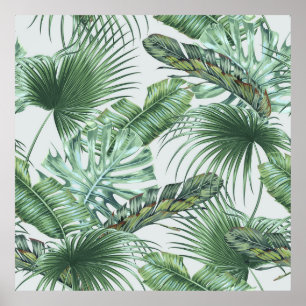 Tropische Blätter aus Palmen, Monstera, Bananenbla Poster