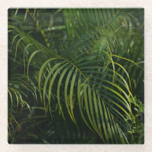 Tropische Blätter, dunkle botanische Elemente Glasuntersetzer