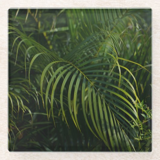 Tropische Blätter, dunkle botanische Elemente Glasuntersetzer (Vorderseite)