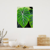 Tropische Blätter, Elefantenohren, dunkelgrün Poster (Küche)