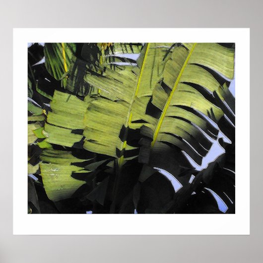 Tropische Blätter Poster (Vorne)