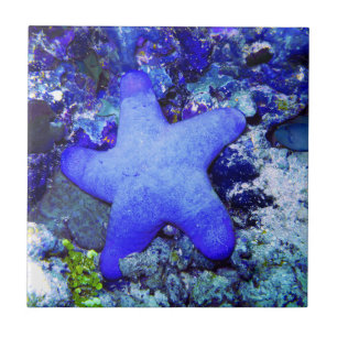 Tropische blaue Starfish, die auf unterseeischer Fliese
