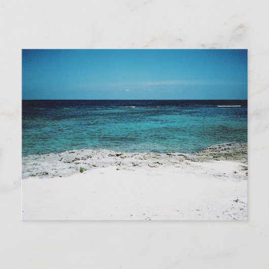 Tropische Blisterkarte Postkarte (Vorderseite)