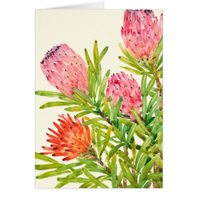 Tropische Blume (Vorne)