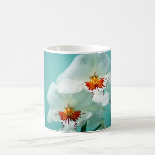 Tropische Blume der hawaiianischen "tanzenden Lady Kaffeetasse (Mittel)