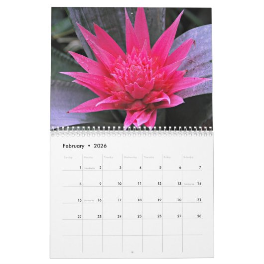 Tropische Blume Kalender (Feb 2026)