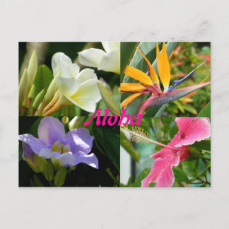 Tropische Blume Kauai Hawaii Postkarte