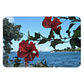 Tropische Blume Magnet (Horizontal)