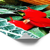 Tropische Blume Mexiko Hacienda Garden Poster (Ecke)