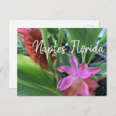 Tropische Blume Neapel Florida Postkarte (Vorne/Hinten)