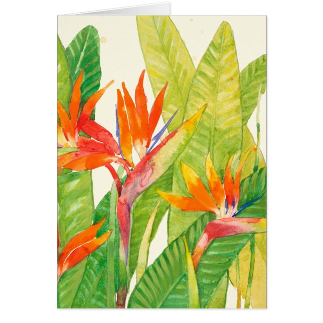 Tropische Blume | Paradiesvogel (Vorne)