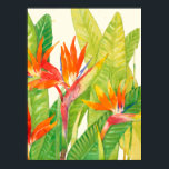 Tropische Blume | Paradiesvogel Poster<br><div class="desc">Tropische Blume 2 Künstler: Tim Oole</div>