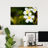 Tropische Blume Poster (Heimbüro)