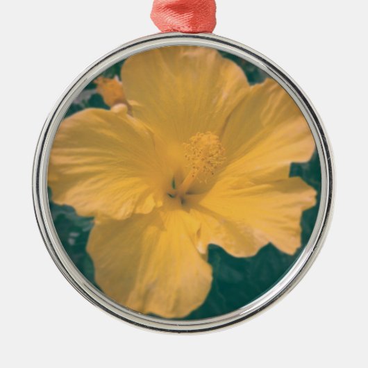 Tropische Blume Silbernes Ornament (Vorne)