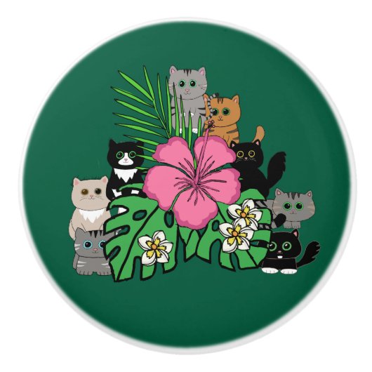Tropische Blume und Kawaii Cats Keramik Pull Keramikknauf (Vorderseite)