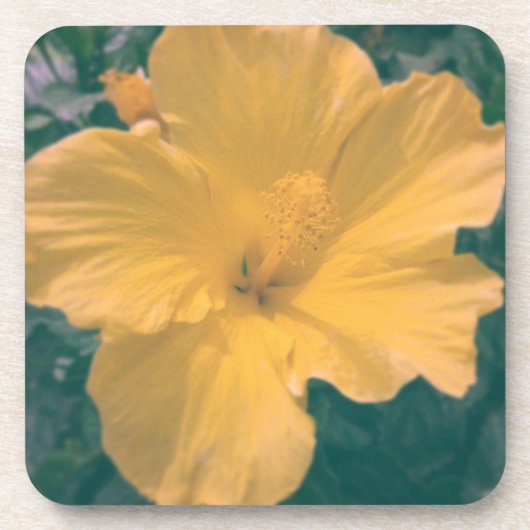 Tropische Blume Untersetzer (Vorderseite)