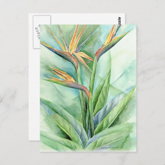 Tropische Blume-Vogel der Paradiesmalerei - mehrer Postkarte (Vorne/Hinten)