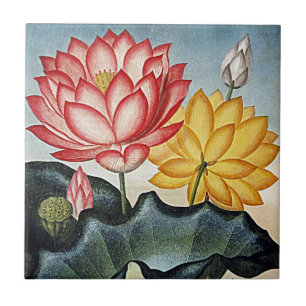 Tropische Blumen Keramik Fliese
