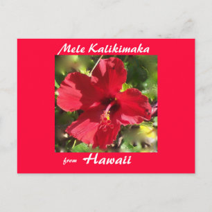 Tropische Blumen-WeihnachtsFotokarte Feiertagspostkarte