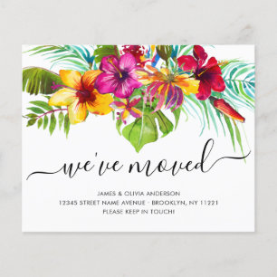 Tropische Blüte aus dem Haushalt Wir haben neue Zu