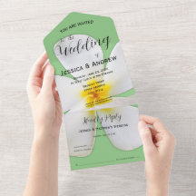 Tropische Blüte, weiße Plumeria, Hochzeit