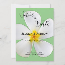 Tropische Blüte, weiße Plumeria, Hochzeit Save The Date
