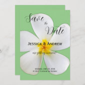 Tropische Blüte, weiße Plumeria, Hochzeit Save The Date (Vorne/Hinten)