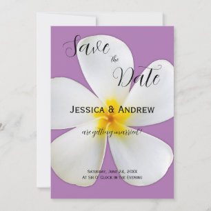 Tropische Blüte, weiße Plumeria, Lavendel, Hochzei Save The Date
